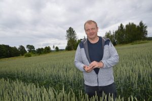 Enno Feldveber, Suislepa Vili, nisu 2025