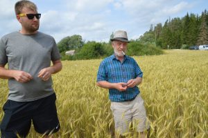 Janno Mändla, Marko Alev talinisu vv2024