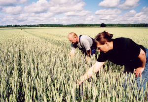 Kalle-Rand.-Kalle-Talu.-Suvinisu-Vinjett.-2.2005