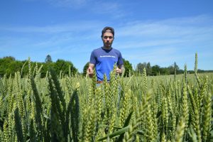 Karel Toss, Põlva Agro, nisu 2025