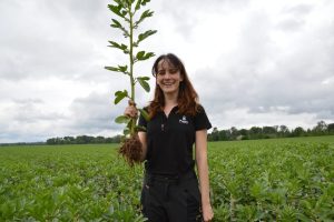 Ly Nurm, Frago, põlduba 2025