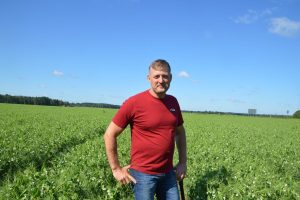 Margus Klais Rämsi Agro, põldhernes 2025