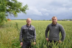 Mihkel-ja-Madis-Artel.-Martel-Teravili-OU.-2015