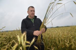 Raido Allsaar, Mägede, rukis 2025