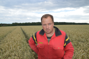 Tanel Tõrvand. Vitsjärve Põldur. Rukis. 2017