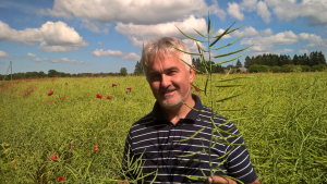 Tõnu Post. Kõljala POÜ. Raps. 2017