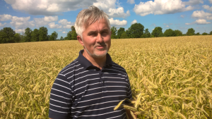 Tõnu Post. Kõljala POÜ. Rukis. 2017