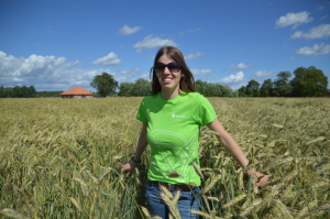 Tuuli Vaarak. Savikoti Agro. Rukis. 2017