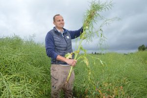 Vardo Lund, Avispeamees, taliraps 2025