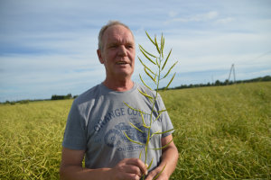 Villu Kärmas. Molter Agro. Raps. 2017